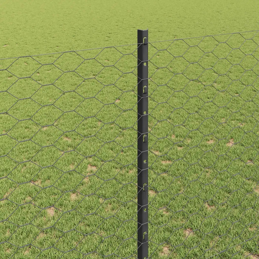 Recinzione da Giardino | Recinzione con Posto Grigio