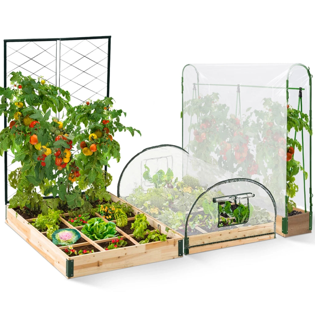 IDMarket - Kit completo di 3 vasche modulari per orto e serra di pomodori + traliccio + copertura