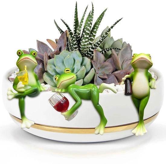 Set da 3 figurine di rane vaso di fiori rane da appendere decorazione per vasca da bagno mini vasca decorazione per vasca da bagno rane decorazione per giardino vasi decorativi per terrazza vaso per piante
