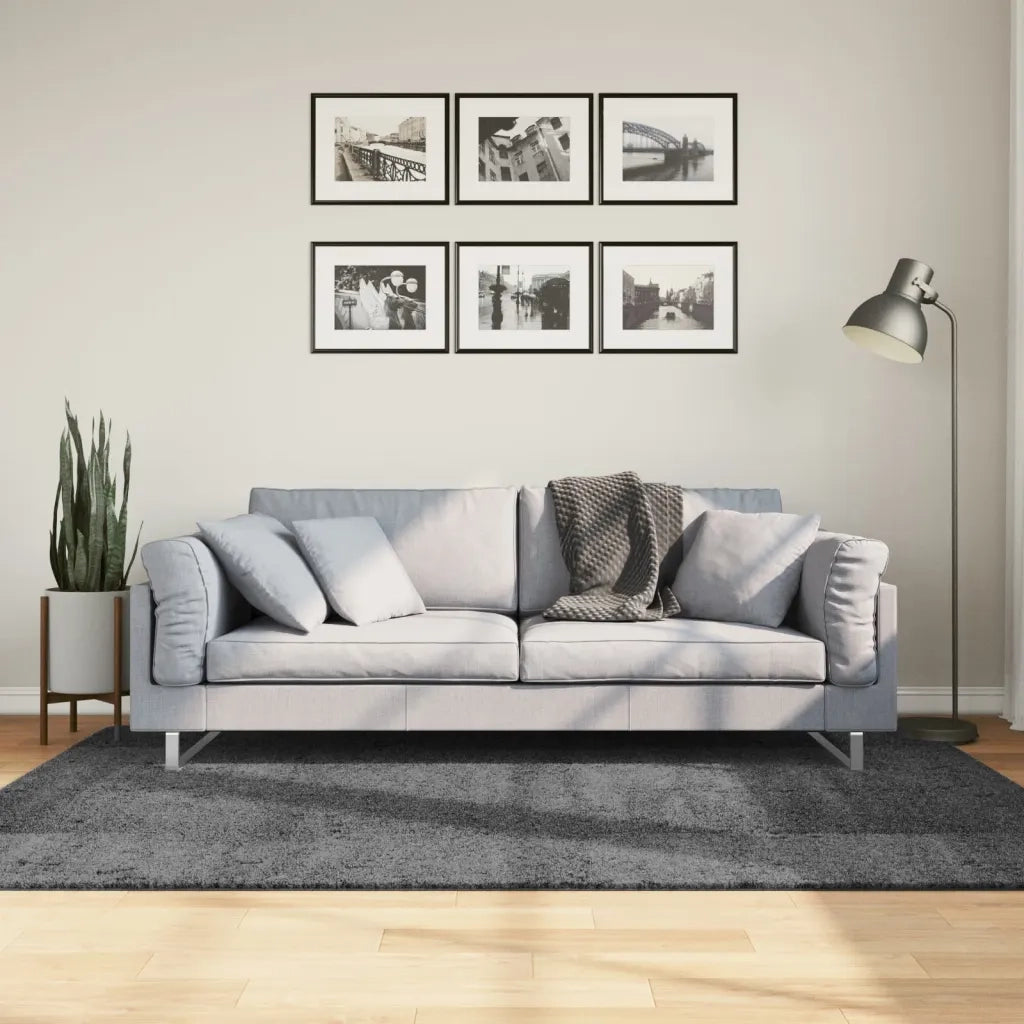 Tappeto del soggiorno | Tappeto OVIEDO a Pelo Corto Antracite 140x200 cm