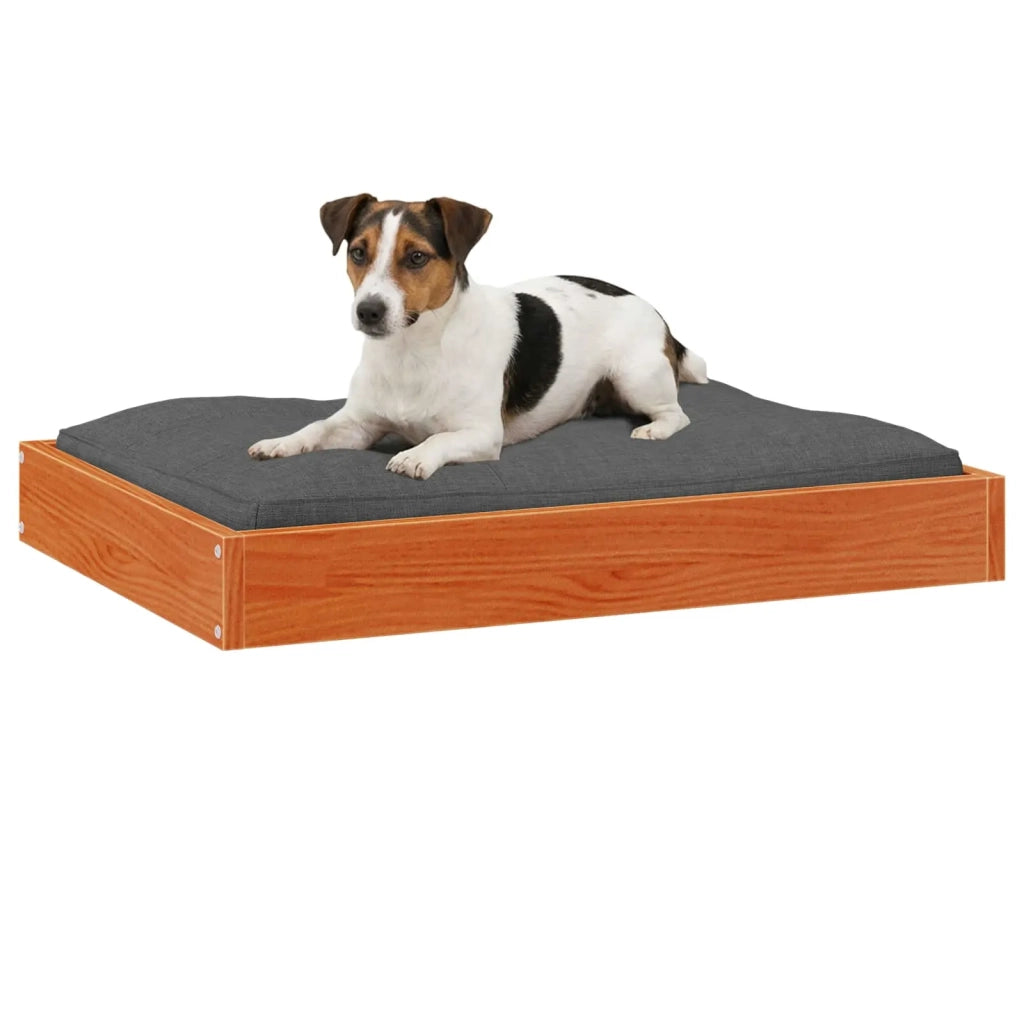 Letto per Cani Marrone cerato 72 x 54 x 9 cm 867643