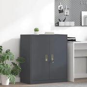 Armadio Antracite 80 x 40 x 90 cm Acciaio 891684