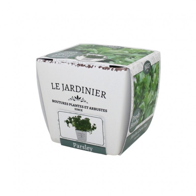 Kit Coltivazione per il Prezzemolo, con vaso in ceramica, terriccio e semi