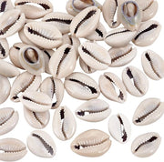 Accessori con Conchiglie Naturali 43 pezzi - Conchiglie Spiralate Naturali - Hars per Creare Gioielli - Pendenti per Collana per Artigianato - Decorazione Creativa - Conchiglie Marine