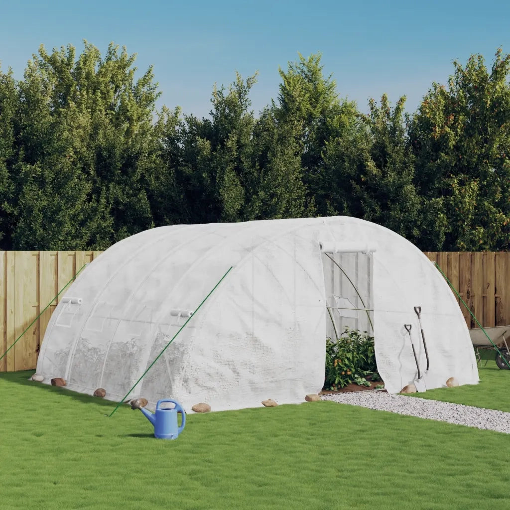 Serra con struttura in acciaio bianca 20 m² 5x4x2,3 m 3188094
