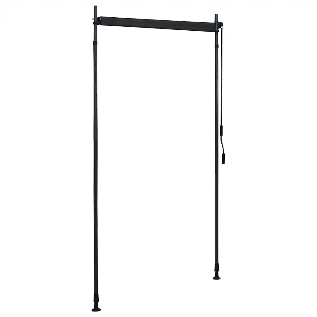 Tenda a Rullo per Esterni 100x270 cm Antracite 145935