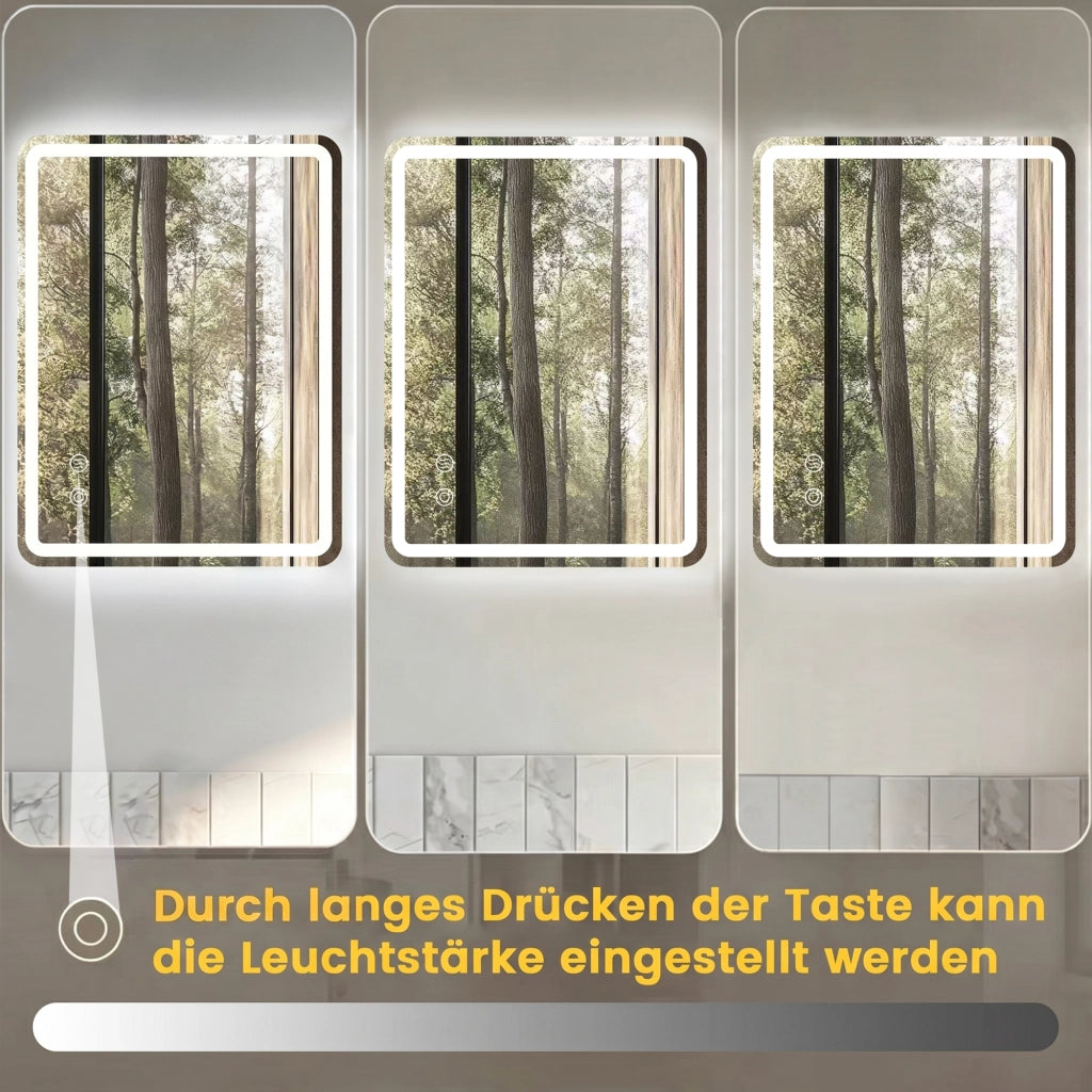 SPECCHIO da bagno LED 70x90 cm Argento in vetro, dimmerabile e antiappannamento