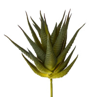 Set 9 Echeveria Cactus Artificiale Altezza 12 cm Verde