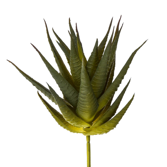 Set 9 Echeveria Cactus Artificiale Altezza 12 cm Verde