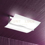 WOOD PLAFONIERA CM.40 2 LUCI FOGLIA ARGENTO 1019-PL40-FA