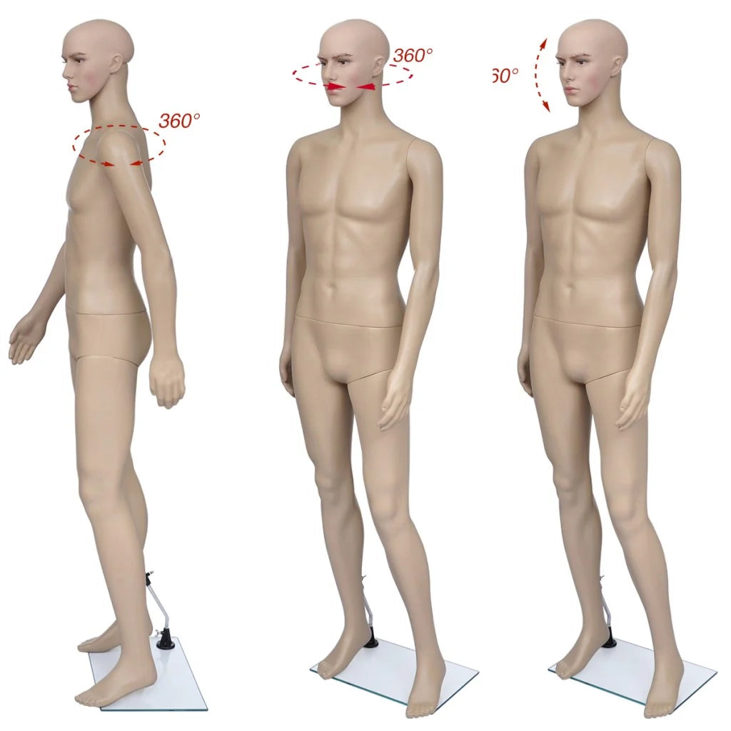 Busto di manichino maschile da 5 pezzi per vetrina 2002017