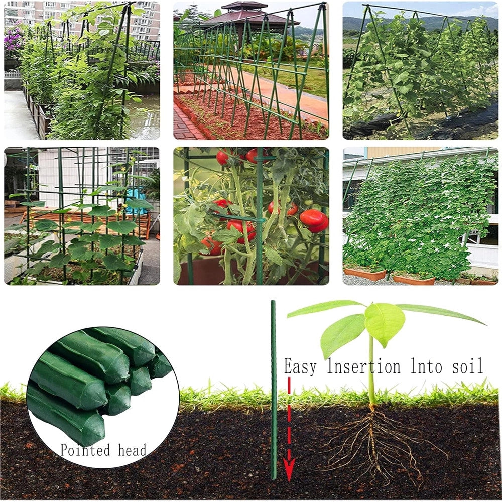 Trade Shop - Set 25 Pali Tutori Canna Per Sostegno Piante Rampicanti Pomodori H60cm ø8mm Grn02 163860a -