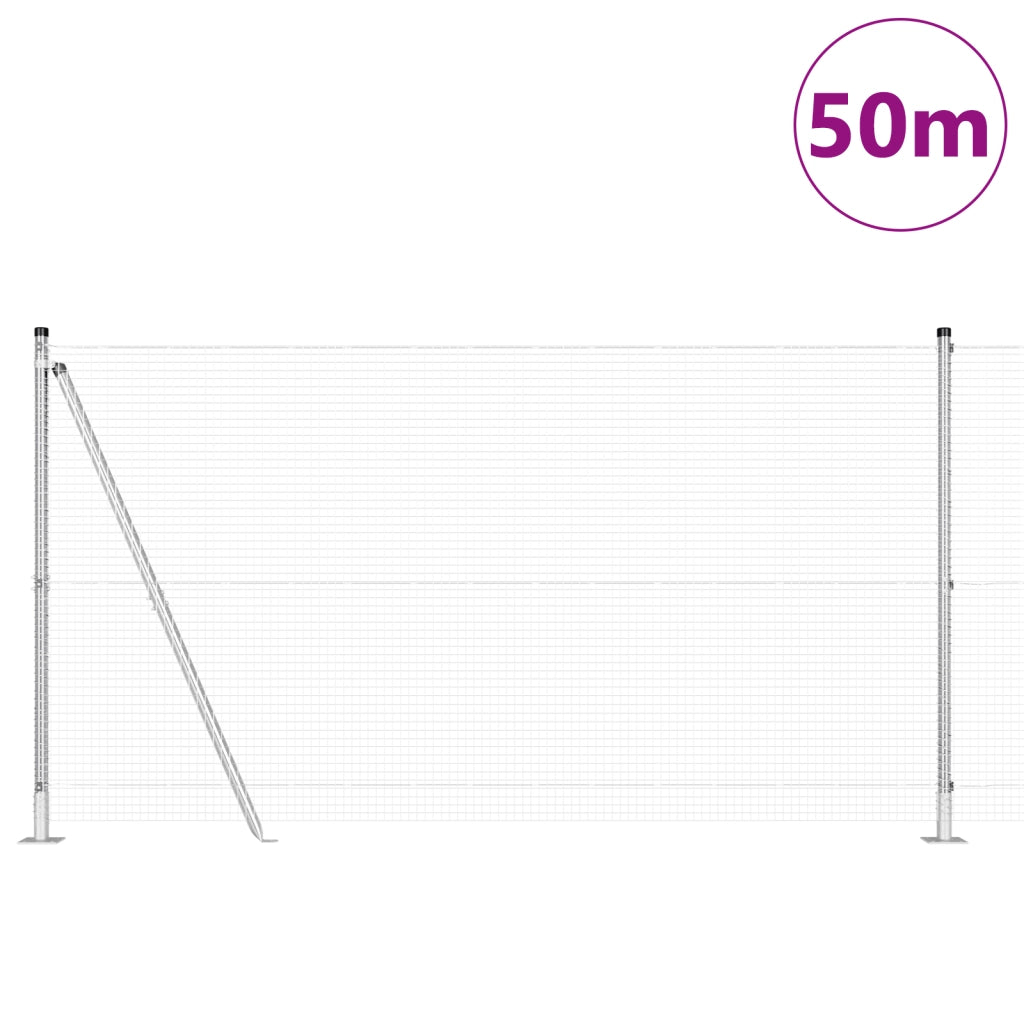 Recinzione in Filo Saldato con 13 Post Flangiati 1,2x50 m Acciaio Galvanizzato