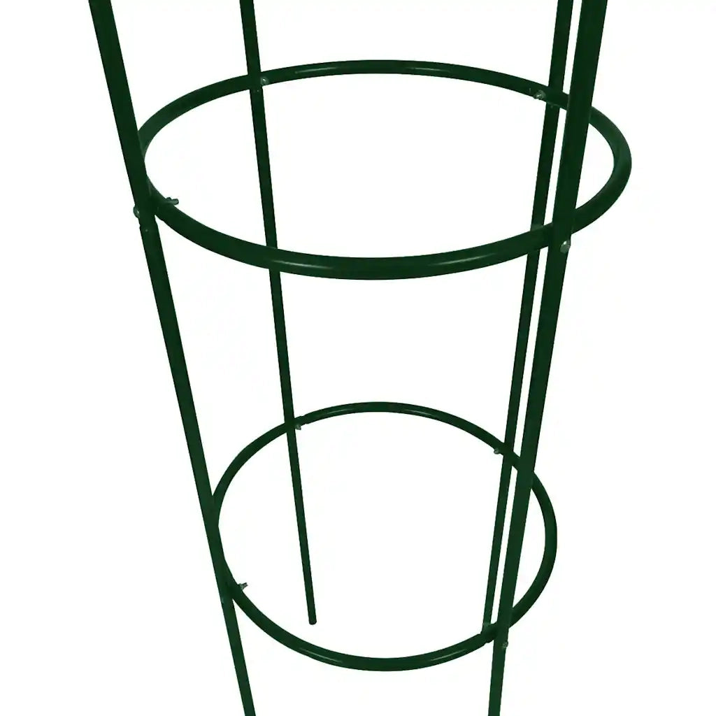 Set Torri ad Arco 2 pz per Piante Rampicanti da Giardino CFW2461839