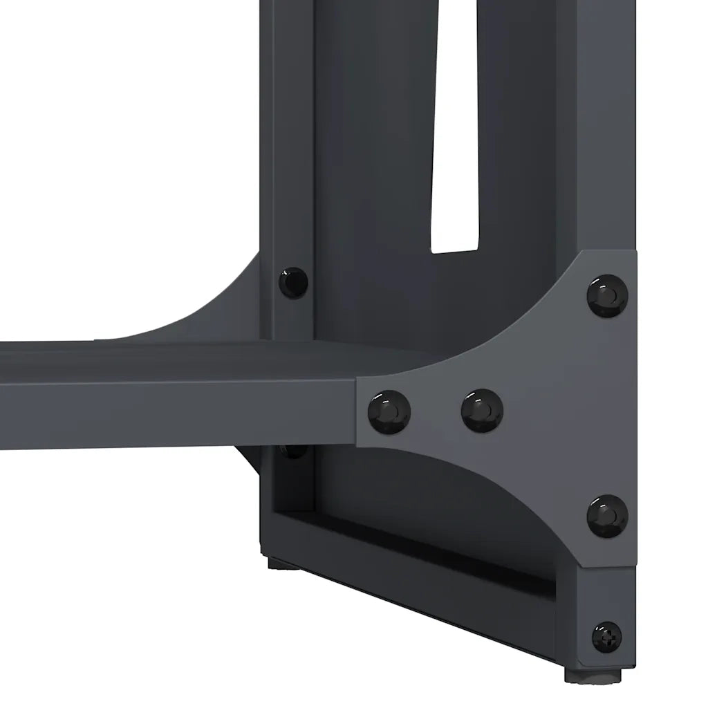 Rastrelliera per Legna da Ardere Antracite 40x30x80 cm CFW4114891