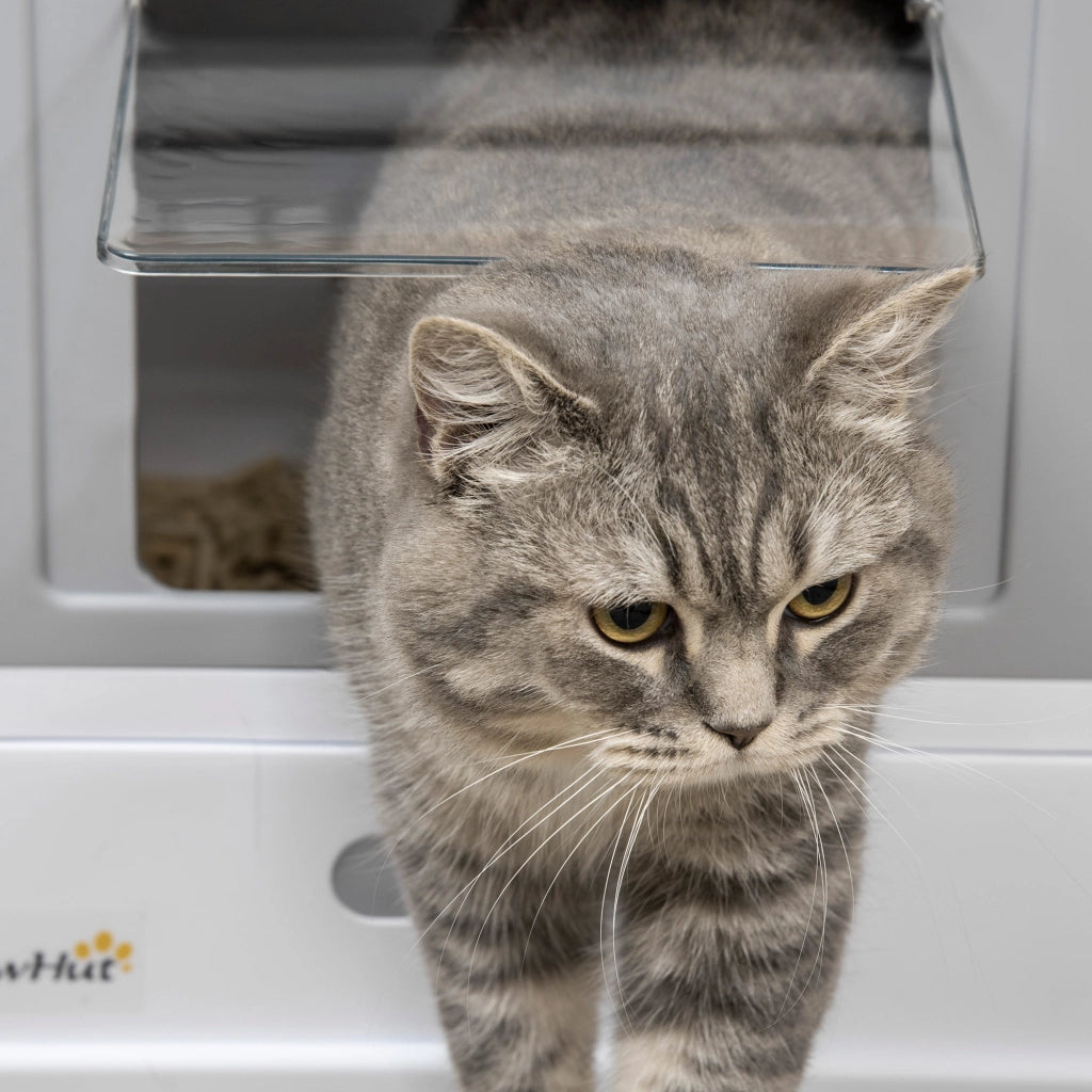 Lettiera per Gatti 47,5x35,5x36,7 cm in PP Bianco e Grigio
