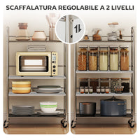 Carrello da Cucina Multiuso a 4 Livelli 60x35x100 cm in Acciaio Inox