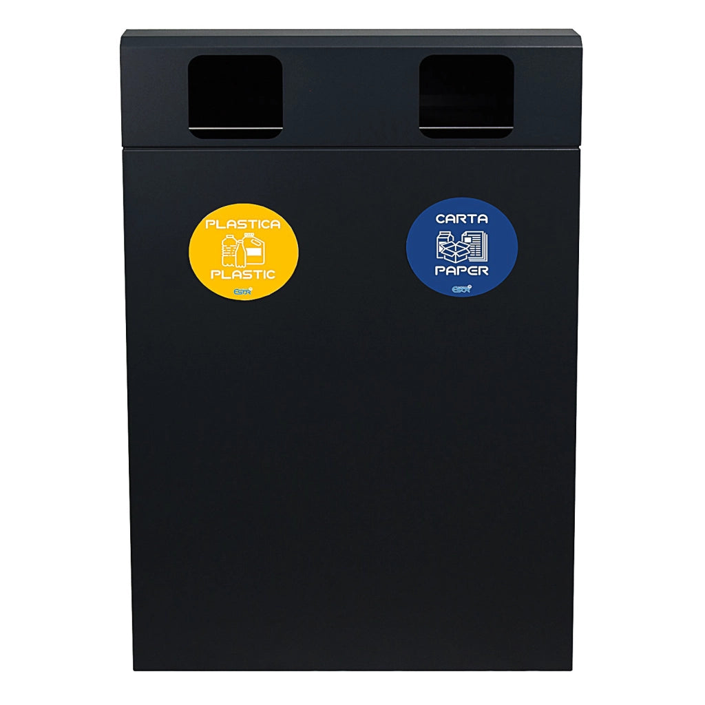 Pattumiera per Raccolta Differenziata 2 Scomparti 120 L 60x30x96 cm in Acciaio Verniciato Antracite
