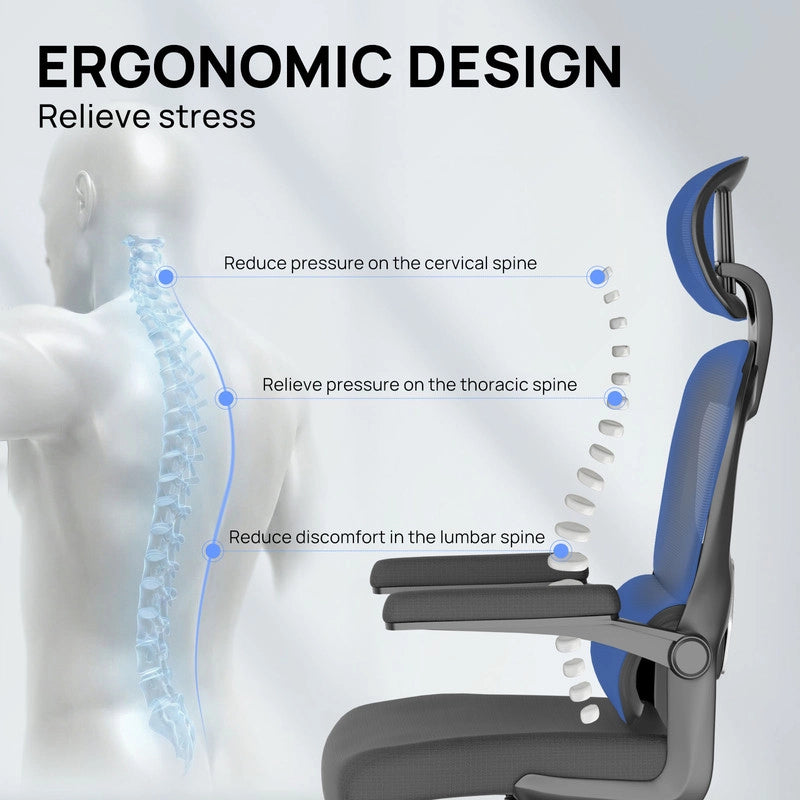 Sedia da ufficio ergonomica - Poltrona HAMLODY - con braccioli pieghevoli a 90° - Supporto lombare - Regolabile in altezza Nero