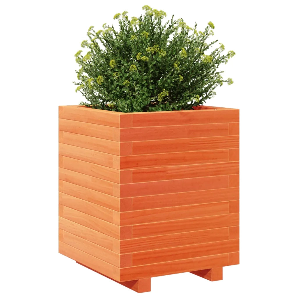 Fioriera Giardino Marrone Cera 40x40x49,5cm Legno Massello Pino 3282511