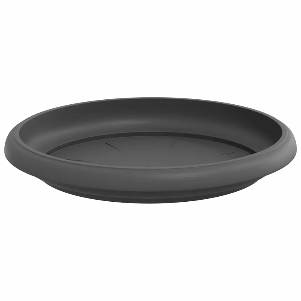 Vassoio Rotondo per Fiori 6 pcs Nero Ø 15,5 x 2 cm Plastica 42020307
