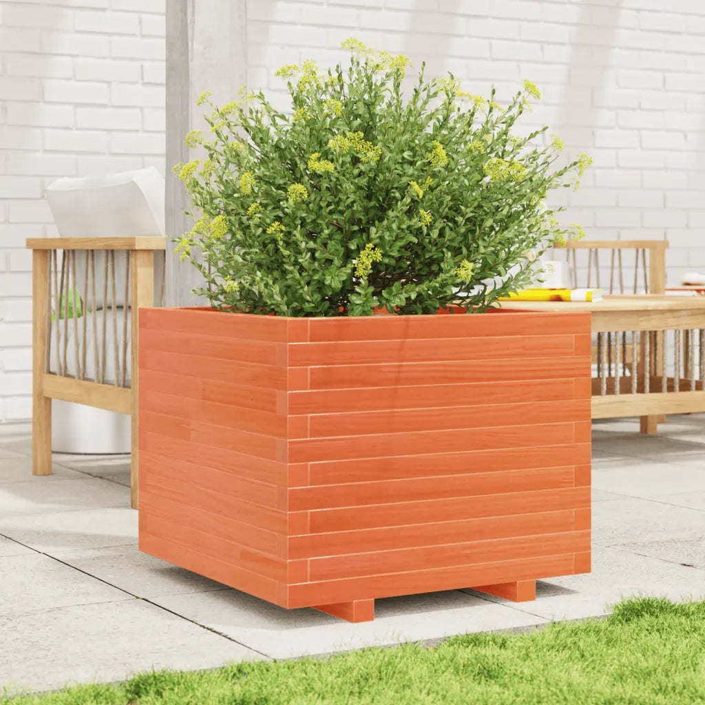 Fioriera Giardino Marrone Cera 60x60x49,5cm Legno Massello Pino 3282521
