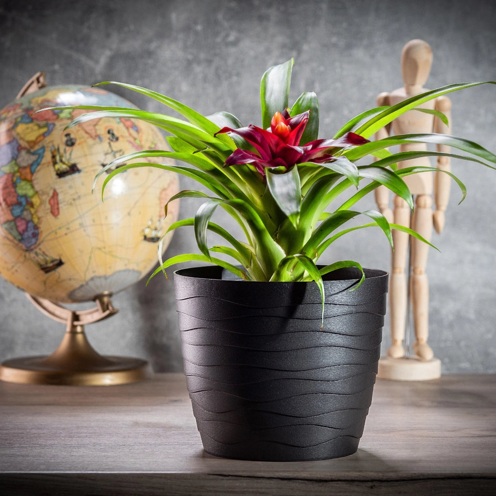 Vaso da fiori KADAX in plastica, rotondo, nero, 17 cm, per fiori e piante.