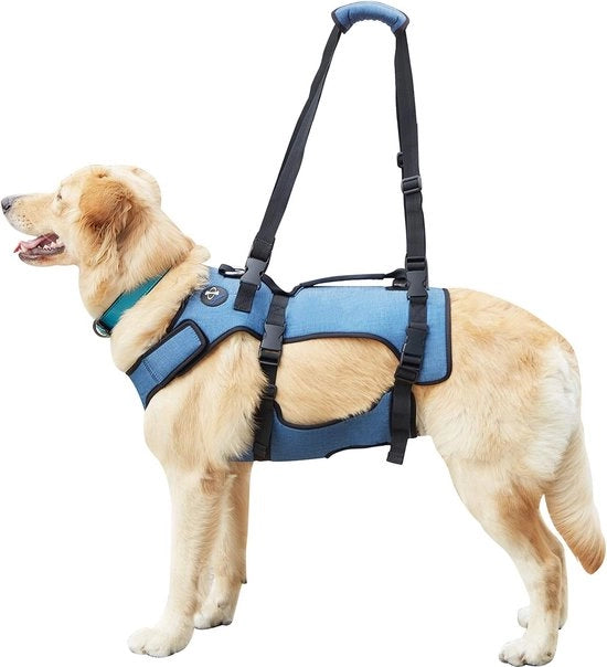Sostegno e cintura di recupero per cani Validatore di mobilità per animali domestici Harnas con cerniera Harnas con cerniera adattabile per anziani o disabili con polsi adattabili