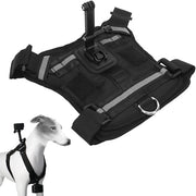 Portatile per cani - Cintura per giroscopio - Fotocamera per azione - Vestibilità per cani - Nero - Collare per cani - Adatto per cani piccoli, medi e grandi