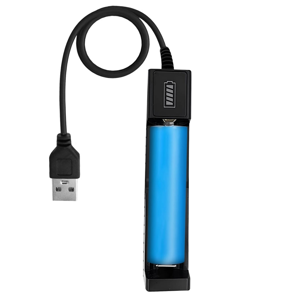 Caricatore universale per batterie cilindriche USB 2A con indicatore 4,2V Nero Avizar
