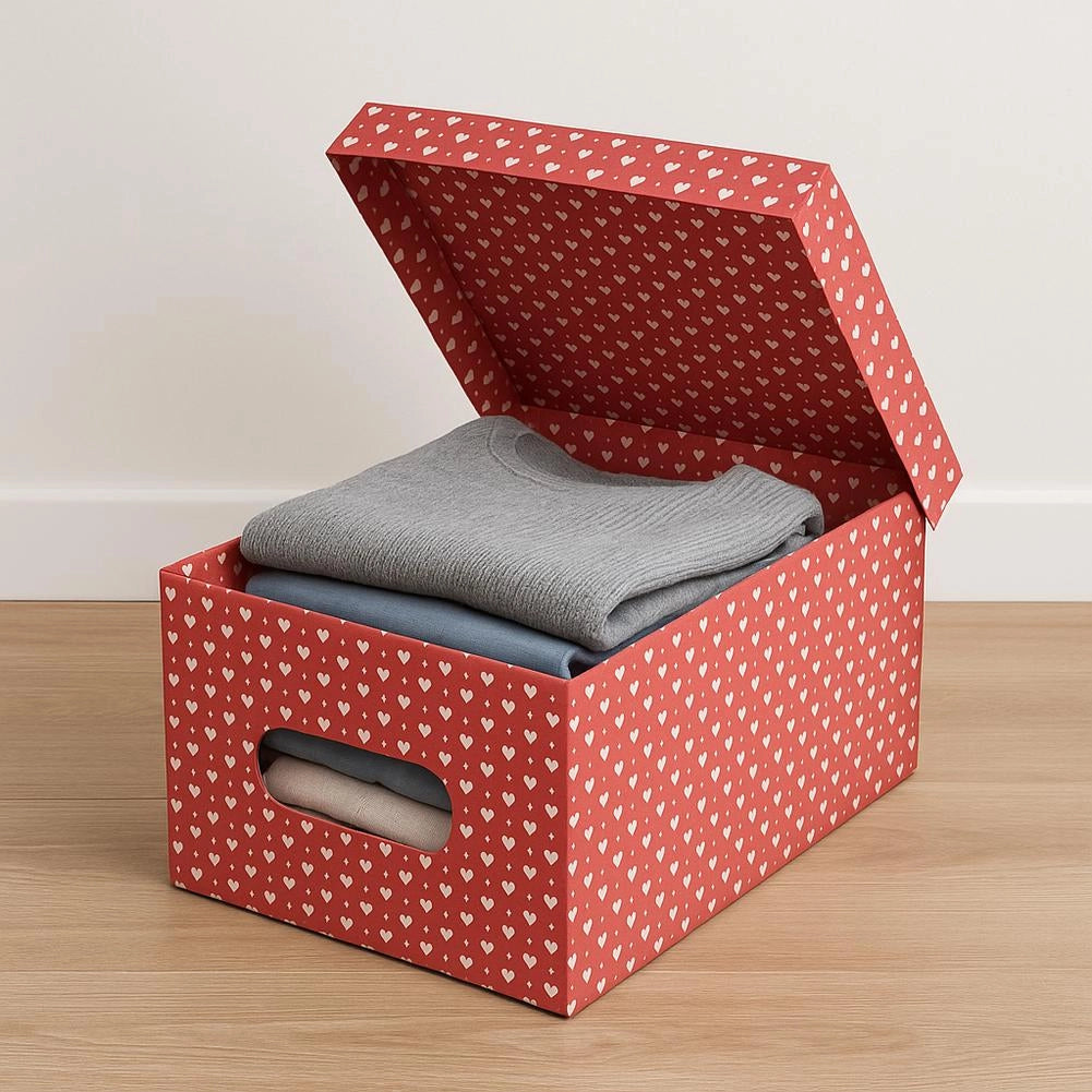 Kit 4pz Scatole Box Sistemazione Armadio in PVC Pieghevole 50x39 H24cm Col.Ass