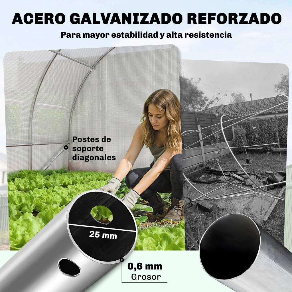 Tunnel Serra 6x3x2 m ¨C Zephmum ¨C Bianco Acciaio Galvanizzato 12 Finestre