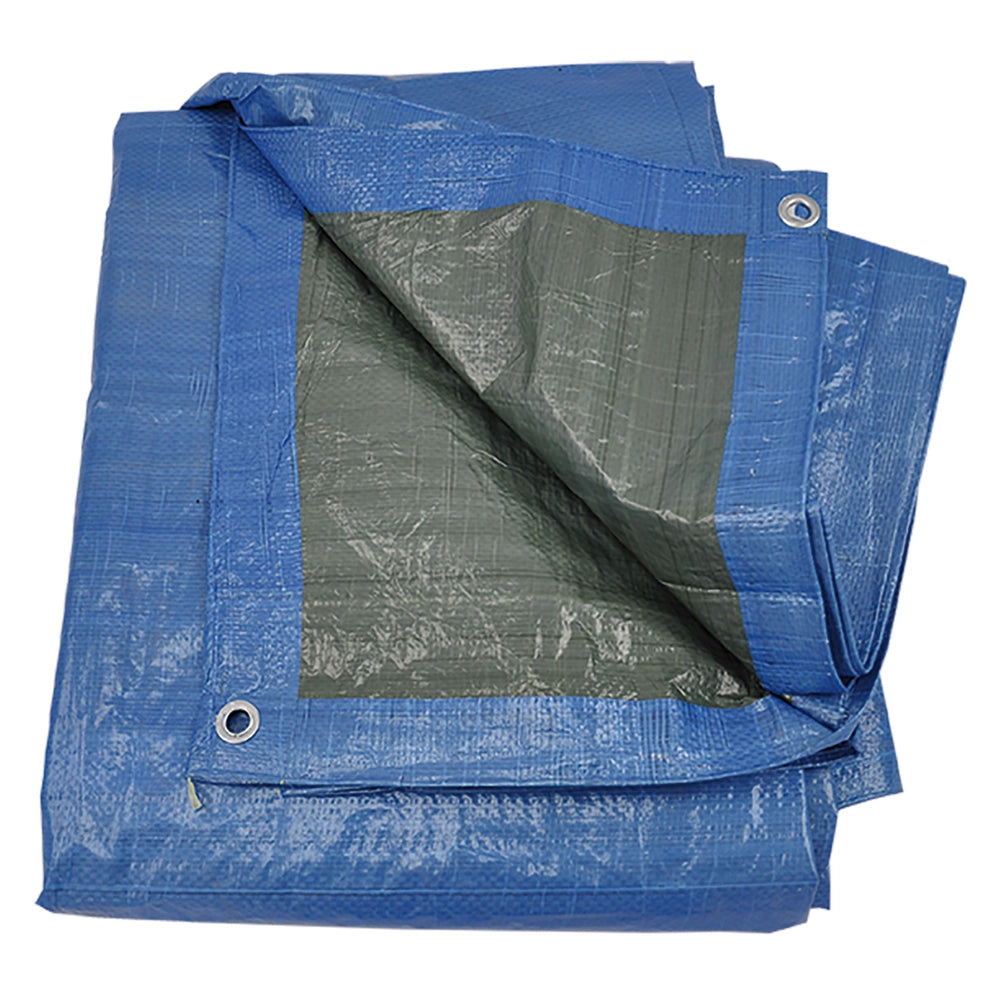 TELONE OCCHIELLATO mt 4 x  6 - 110 gr/mq.  - LIF