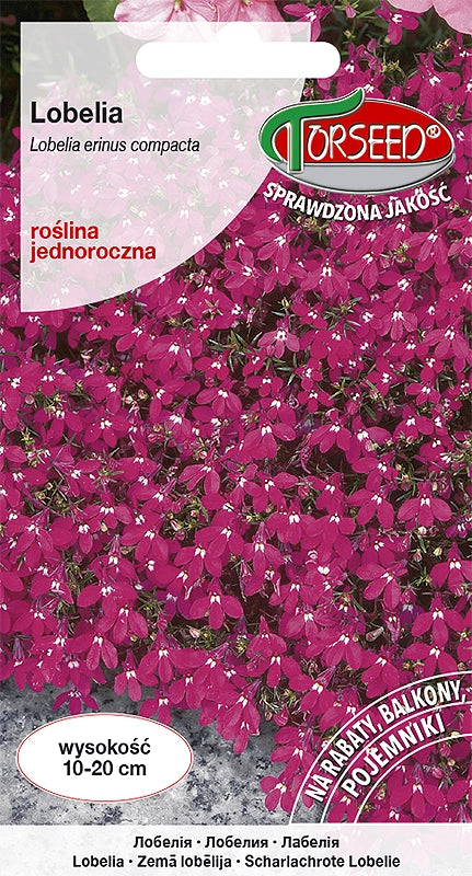 Lobelia (Stroiczka) - Lobelia er. Comp sfumature di rosso 0,1 g