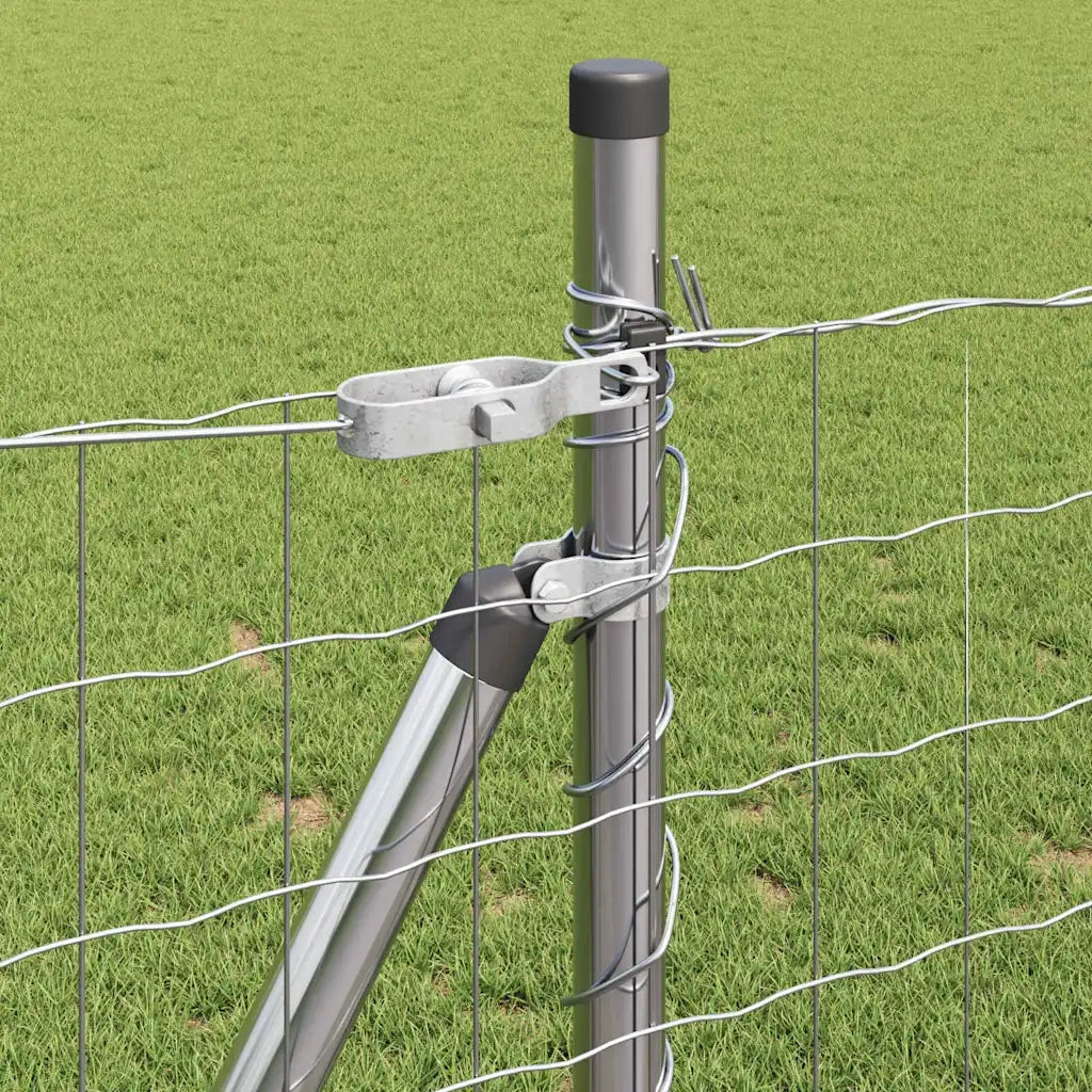 Recinzione con Posto Argento 0,8 x 25 m Acciaio