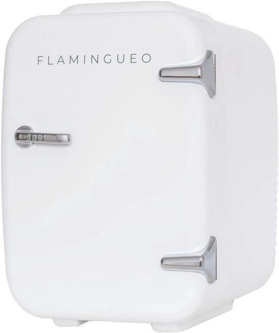 Mini Frigorifero 4L - Frigorifero Portatile con Funzione di Raffreddamento e Riscaldamento