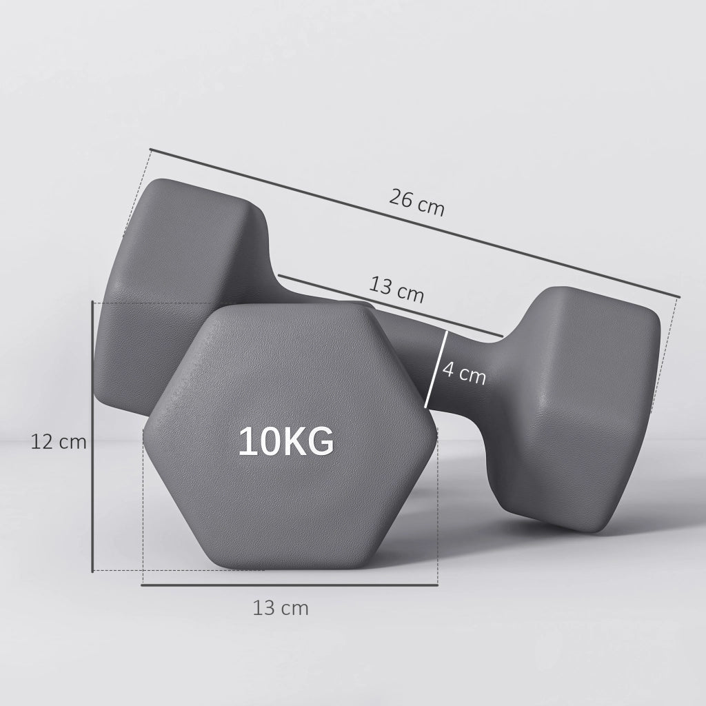 Manubri Esagonali 2x10 kg ¨C zephmum ¨C Grigio Metallo Plastica 26x12x12 cm