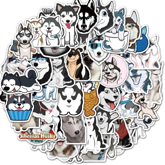 Sticker PVC acqua resistente 50pz - Alta precisione della qualità di stampa