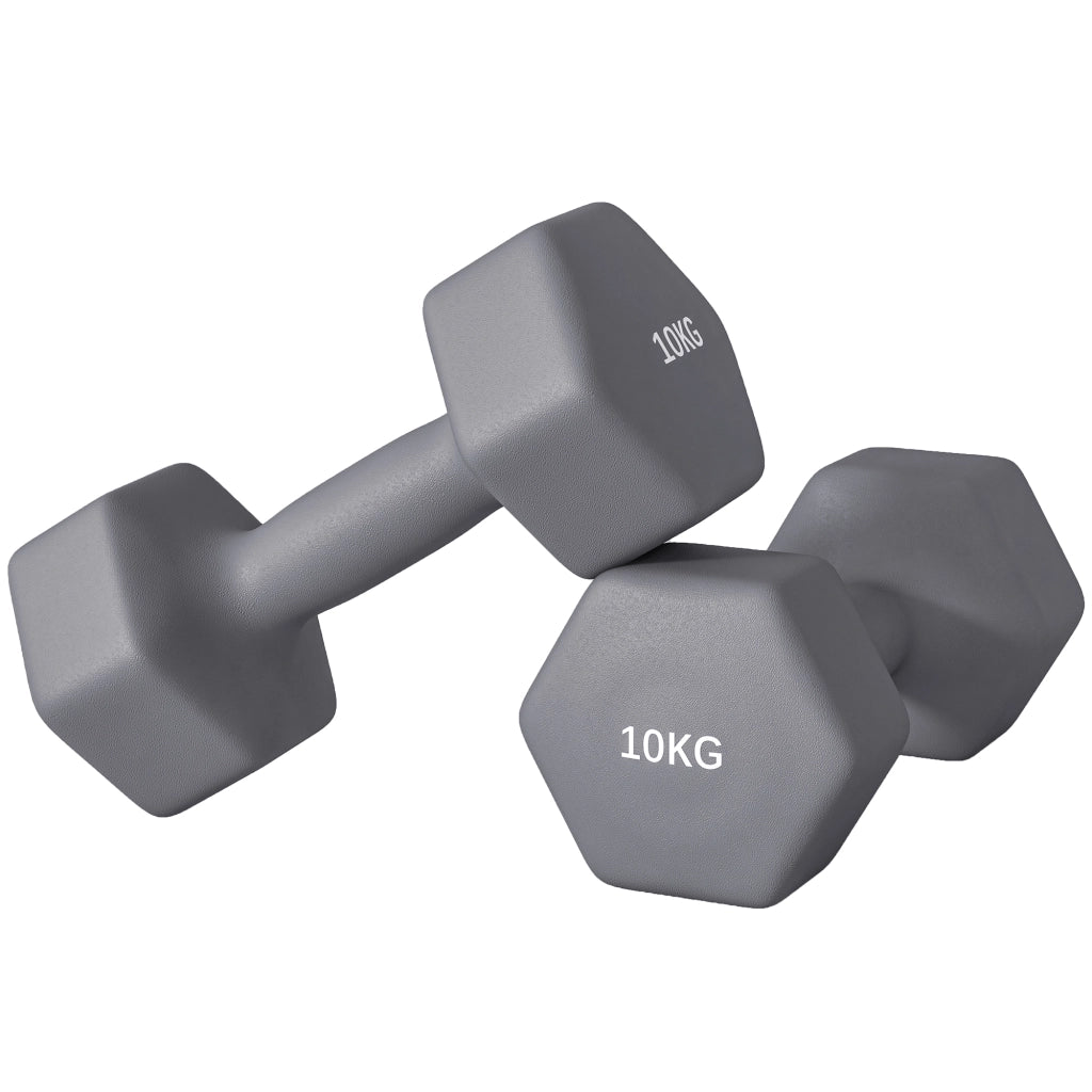 Manubri Esagonali 2x10 kg ¨C zephmum ¨C Grigio Metallo Plastica 26x12x12 cm