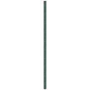 Membrana Antierbacce Verde 4x50 m in PP