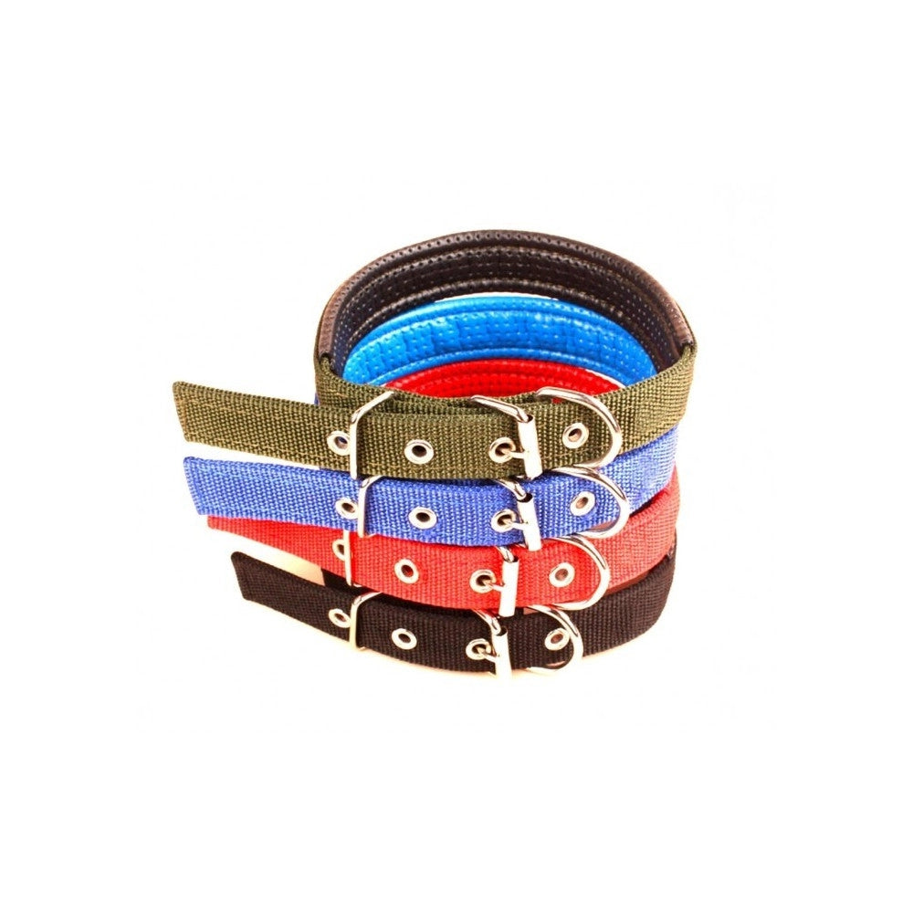 Trade Shop - Collare In Nylon C/ Imbottitura Per Cani Di Tg. Media Chiusura Fibbia Regolabile -
