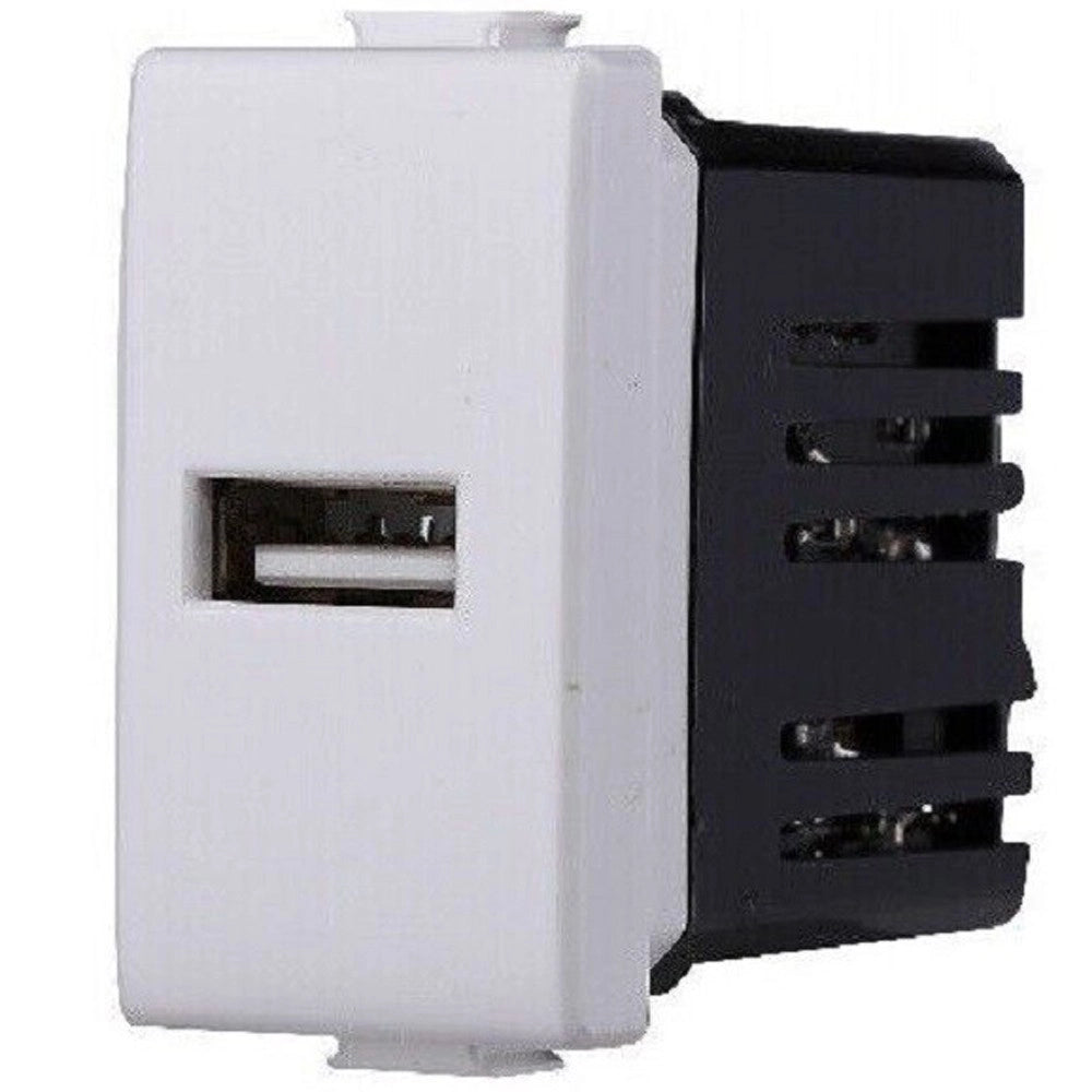 Trade Shop - Serie Bticino Frutti Matix Compatibile Presa Schuko Lan Pulsante Deviatore Usb -     Presa 1 Usb
