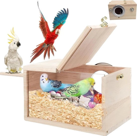 Casa per uccelli in legno massello trasparente per pappagalli, pappagalli falchi e agapornis - 13 x 13 x 25 cm