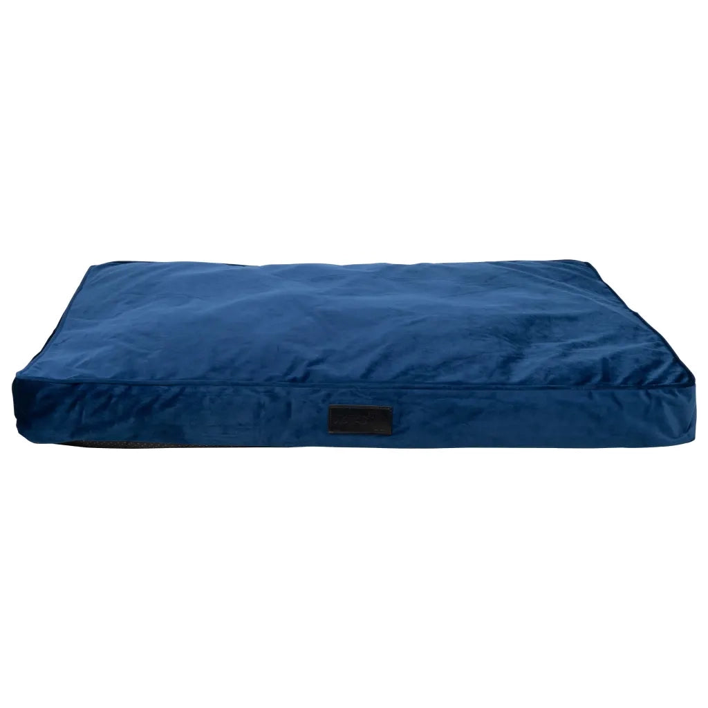 DISTRICT70 Cuscino per Cani VELURO Blu 435692