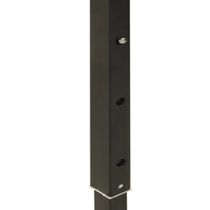 Tenda per Feste Pieghevole con Pareti Laterali Antracite 2x2 m 93509