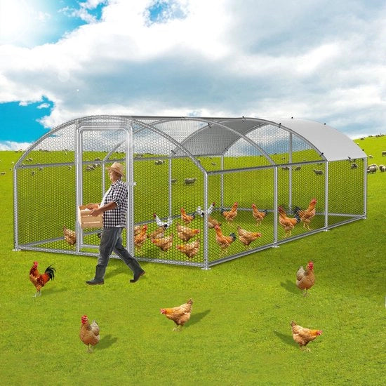 Recinzione per Polli con Design a Arco e Tetto Solare, 3x 6 x 2m