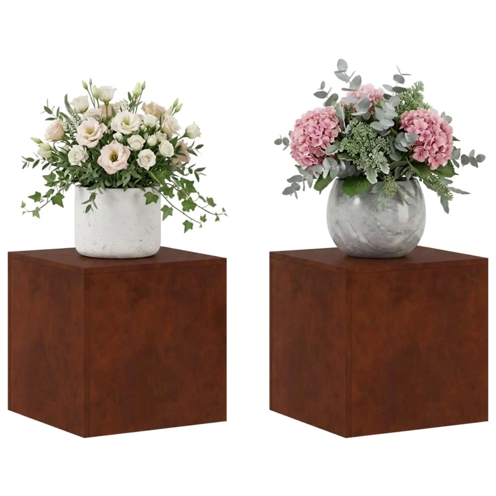 Supporto per piante 2 pcs Ruggine 40 x 40 x 40 cm 8012529