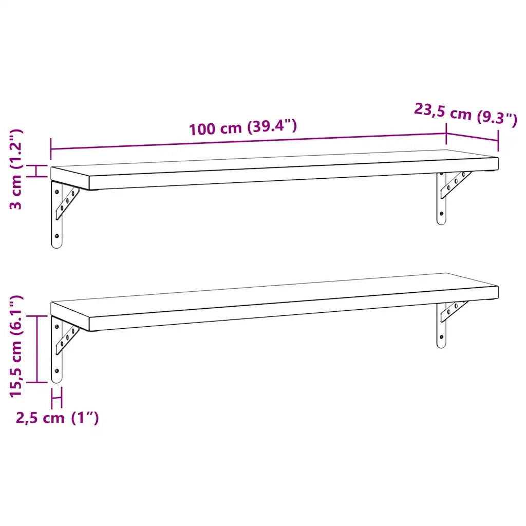 Mensole a Muro 2 pz 100x23,5 cm Nero in Acciaio Inossidabile