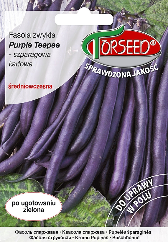 Fagiolini nani viola comuni Purple Teepee 30g
