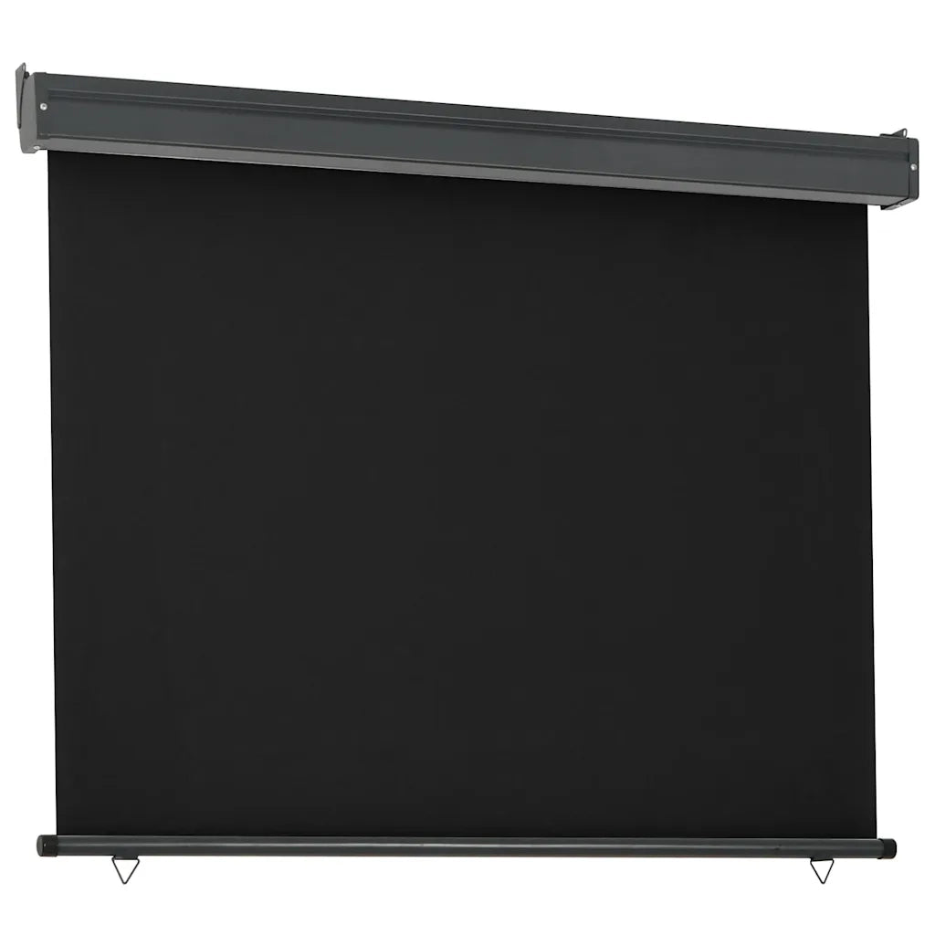 Tendalino Laterale per Balcone 125x250 cm Nero